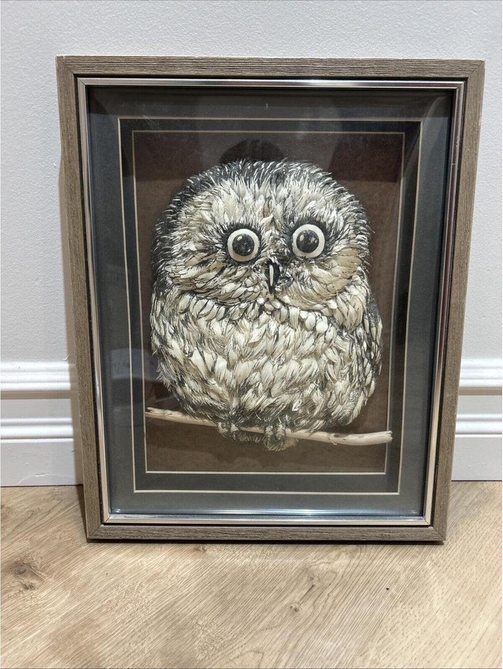 Tole Framed 3D Owl Art Wall Hanging with Curved Glass Front